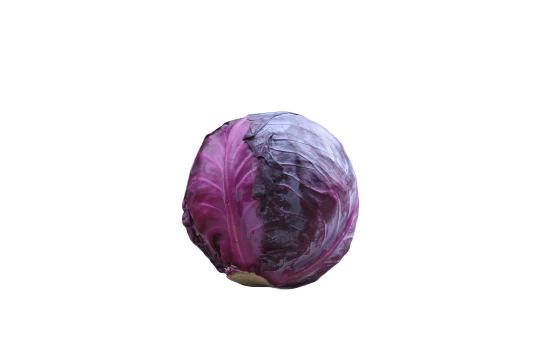 Cabbage