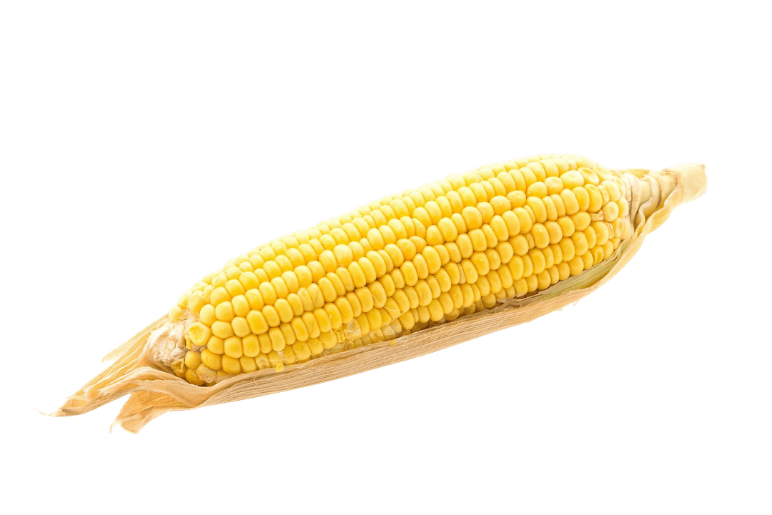 Corn