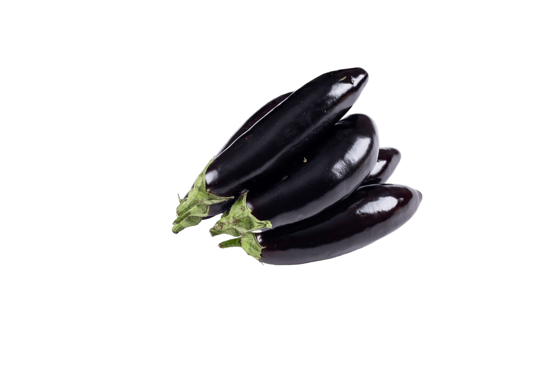 Classic Purple Eggplant