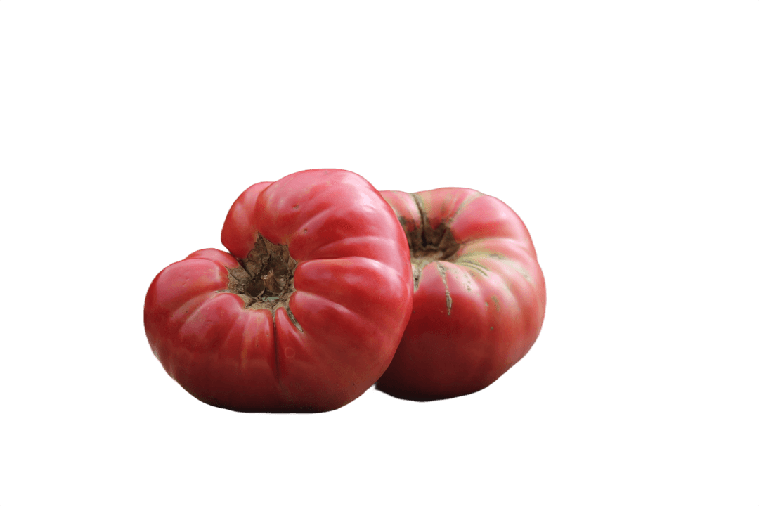 Large Heirloom Tomatoes