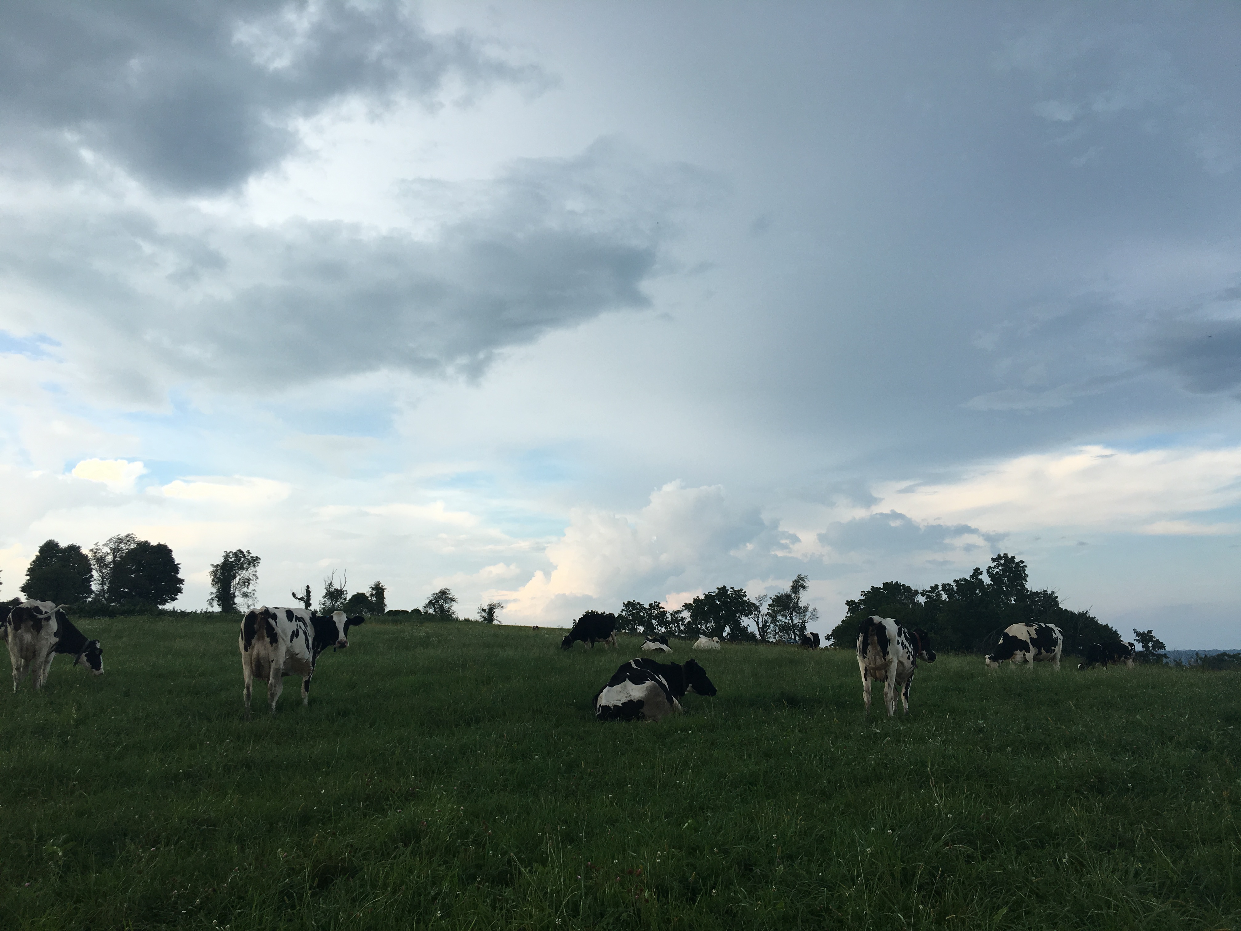 Farmer holding produce