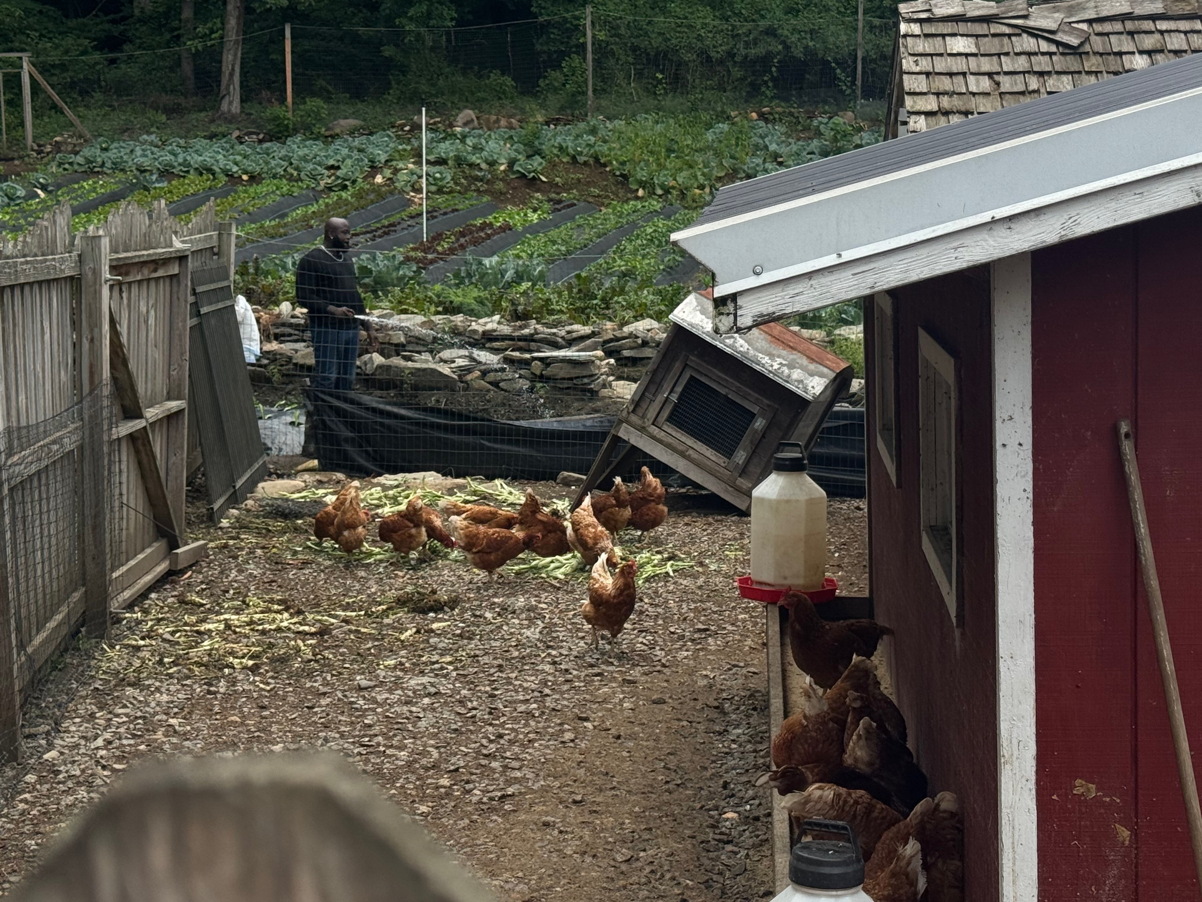Farm 1